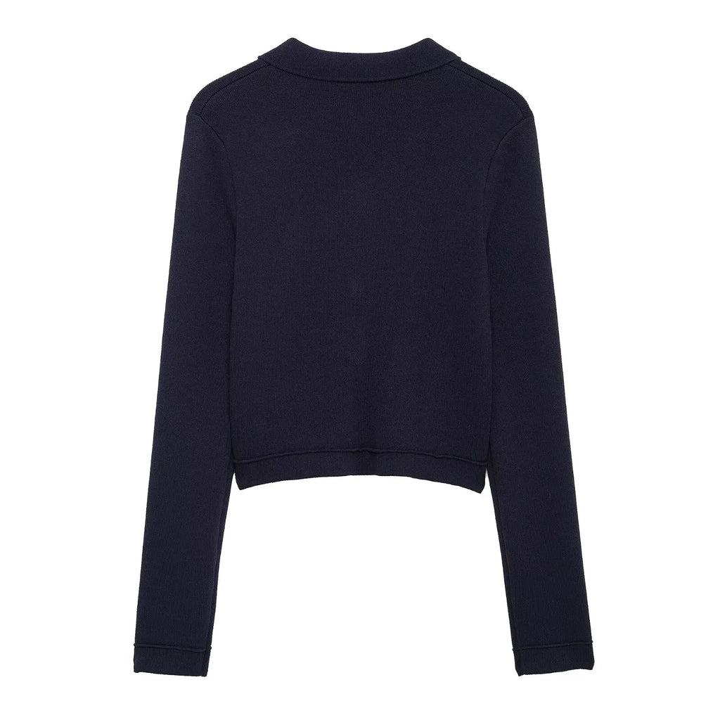 Willshela Women Knitted 2 Pieces Sets Cardigan Jacket and  Wide Pleated A-Line Skirt Female Chic Office Lady Mujer Coordinates